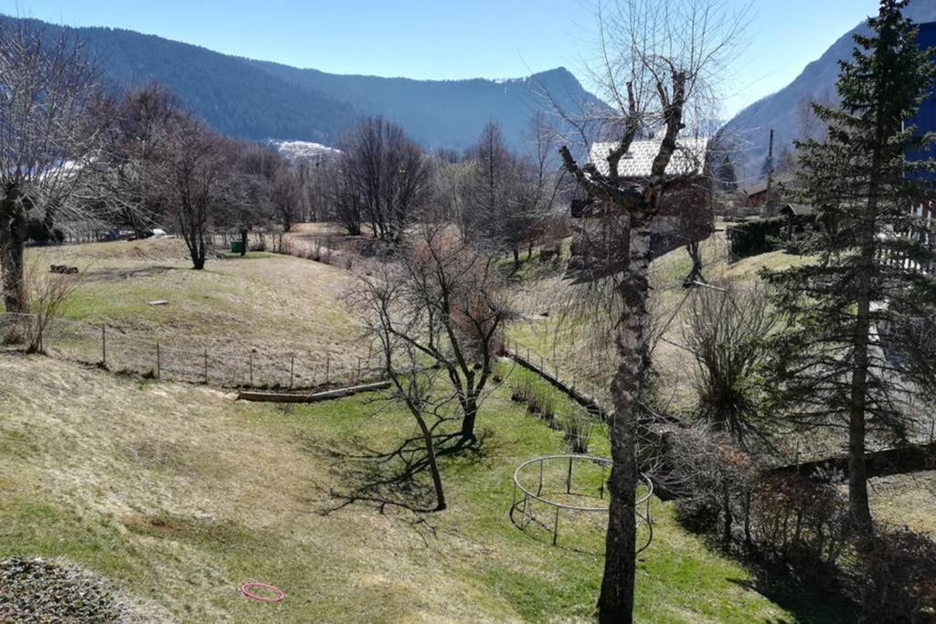 Le Wallis *
