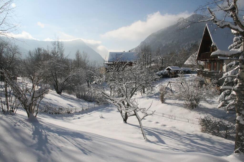 Apartment Le Wallis *
